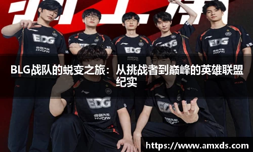 BLG战队的蜕变之旅：从挑战者到巅峰的英雄联盟纪实
